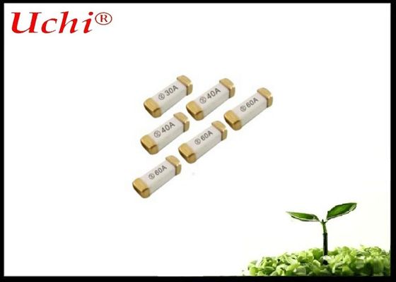 Chất an toàn gốm hoạt động nhanh 2A 250V